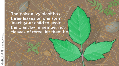 The poison ivy plant has three leaves on one stem. Teach your child to avoid the plant by remembering, “leaves of three, let them be.”